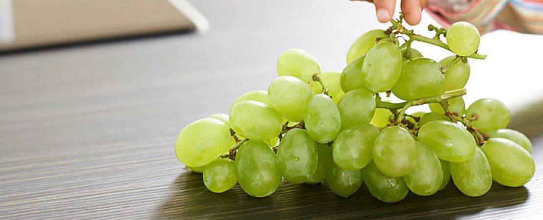 grappolo uva appoggiato su pannello antibatterico Microplus